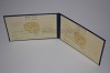 Стоимость диплома техникума УзбекАССР 1975-1991 г. в Вытегре (Вологодская Область)