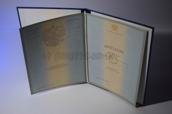 Диплом Университета 2008г в Вологде