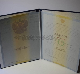 Диплом Института 2010г в Вологде