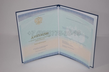 Диплом Техникума 2024г СпецБланк в Вологде
