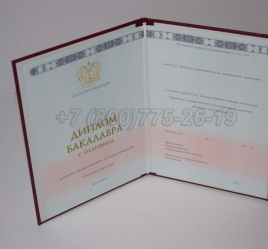Красный Диплом Бакалавра 2023г ГОЗНАК в Вологде